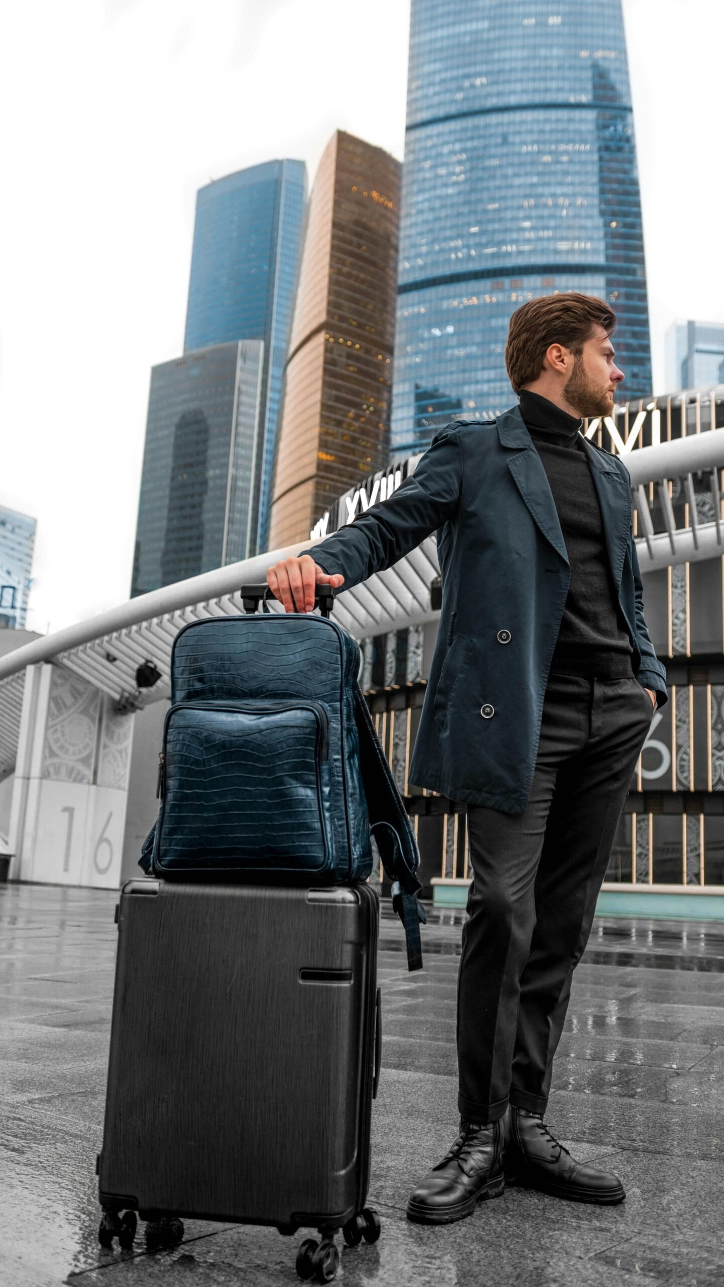 Premium travel umbrella preview