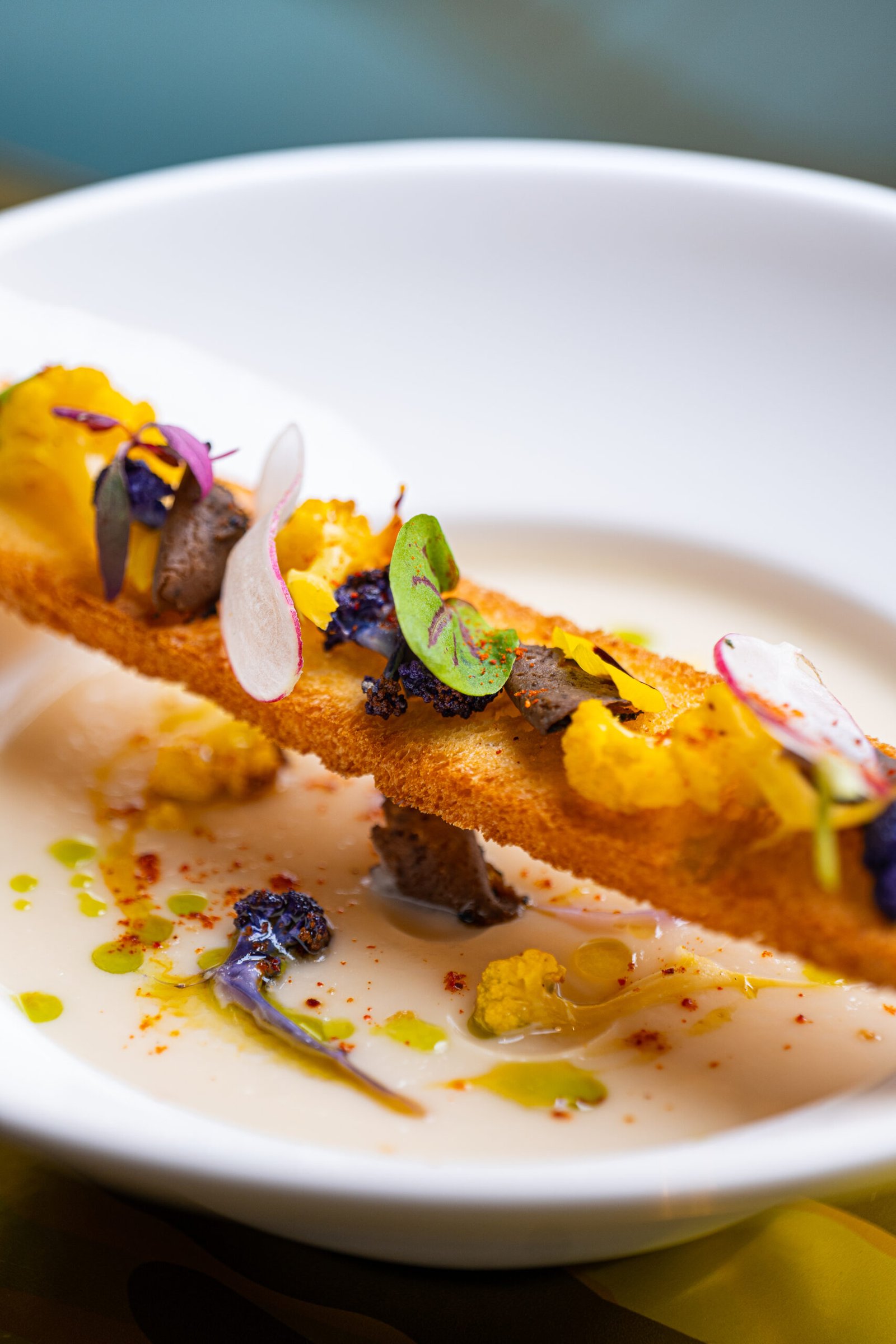 Culinary Chef Club portfolio 14